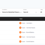 caloundra-basketball-open-mens-2024-todd-teichmann-avg-points